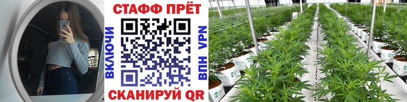 Купить Мегион COCAIN  Alpha PVP  Галлюциногенные грибы  Каннабис 