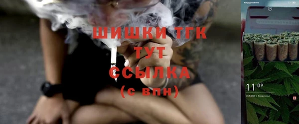 PSILOCYBIN Михайлов