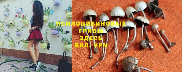 spice Михайловск