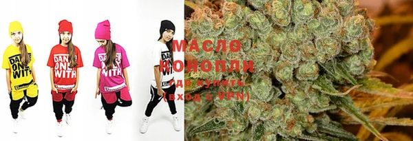 индика Наволоки