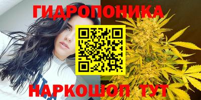 мяу мяу мука Беслан