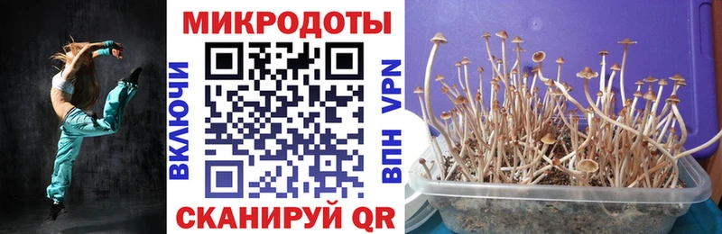 Псилоцибиновые грибы ЛСД  Мегион 