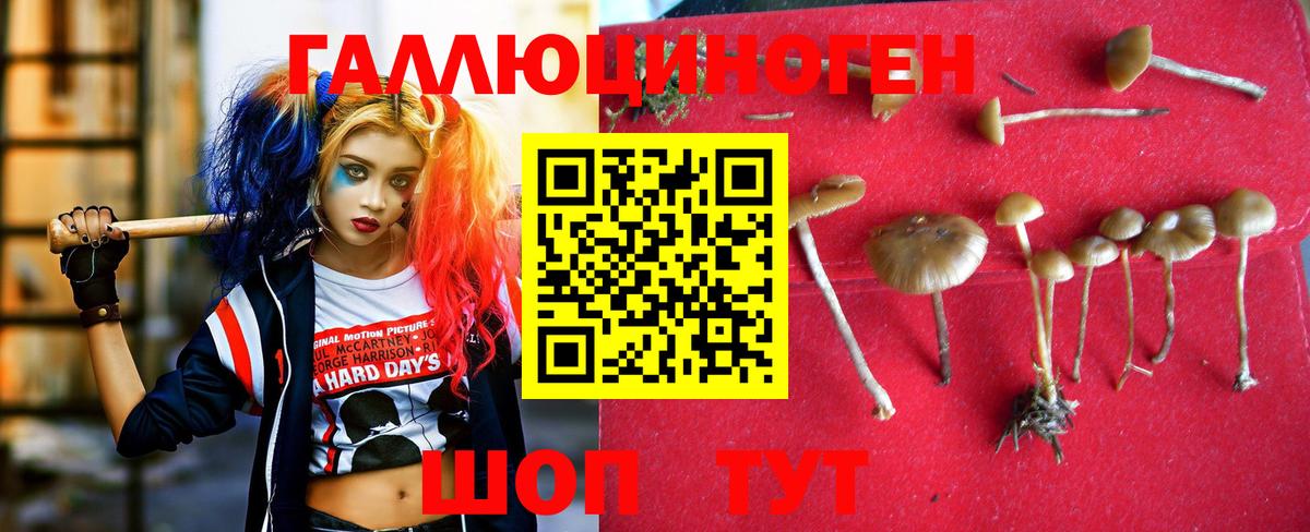 Мегион  Галлюциногенные грибы ЛСД  Вход с VPN  купить наркотик  Галлюциногенные грибы мухоморы 
