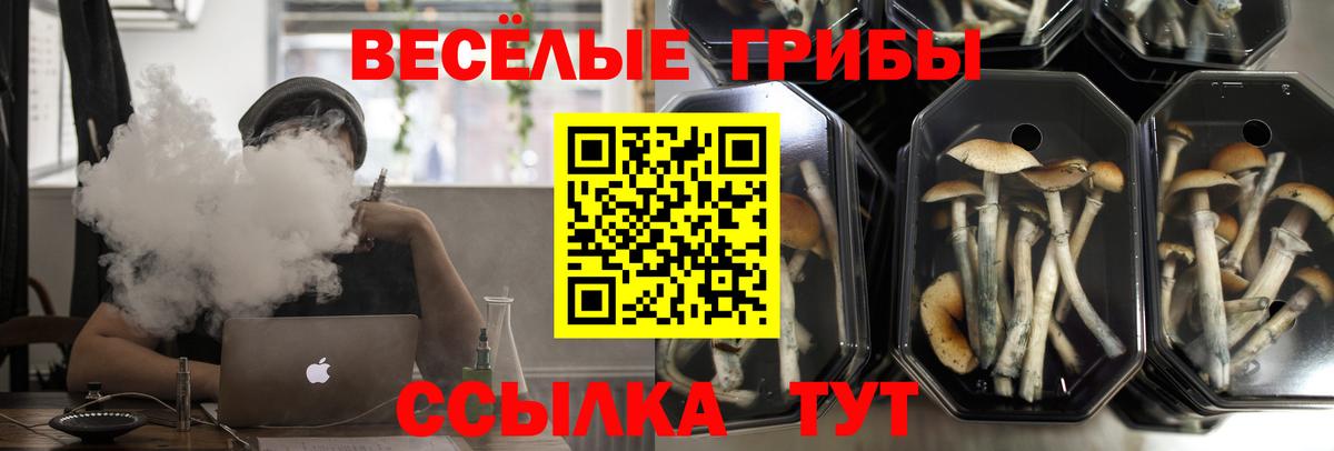 LSD-25  МАРИХУАНА  Мегион  ГАШ  МЕФ кристаллы  КОКАИН  Вход с VPN 